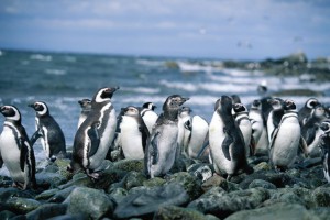 Ecuador/Galapagos 