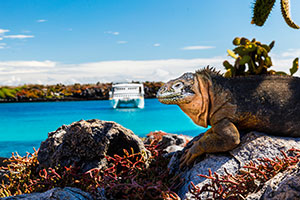 Roundtrip Isla San Cristobal 