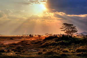 Zimbabwe/Botswana